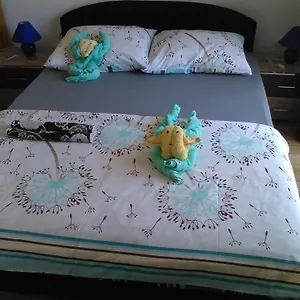 Dana Apartament
